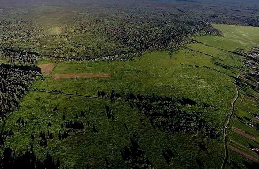 Ресторан 8 лет на рынке