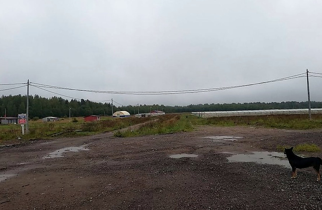 Фермерское хозяйство 8 лет на рынке