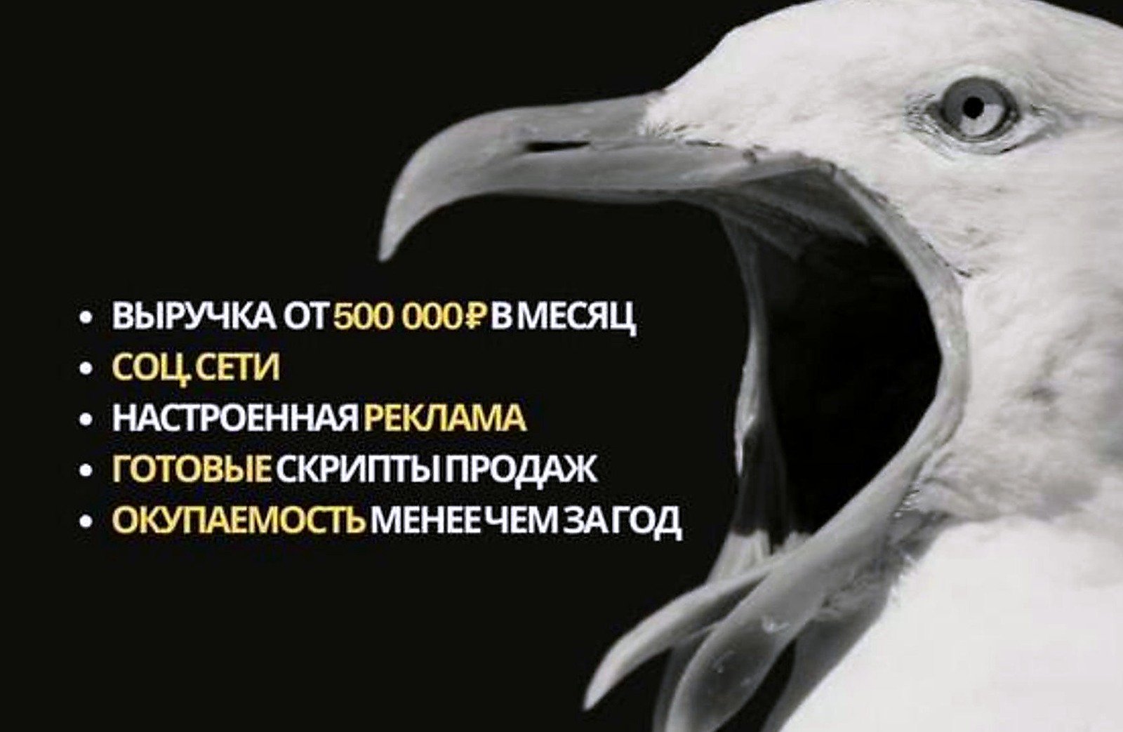 Учебный центр с онлайн-каналами
